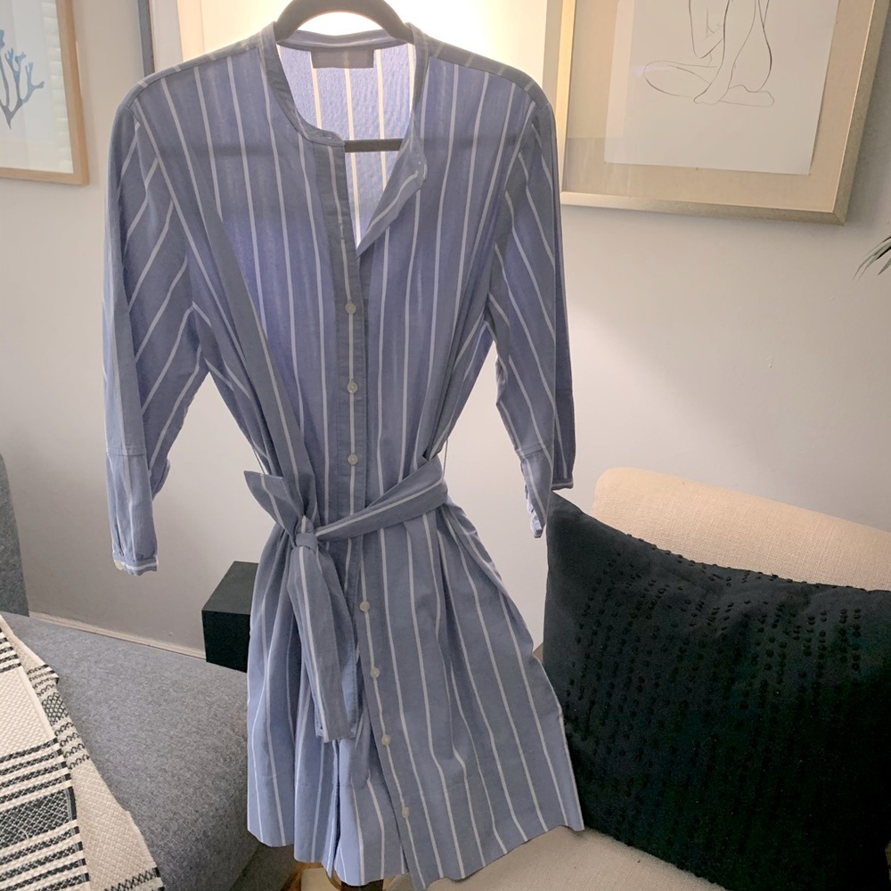 Everlane striped shirt dress